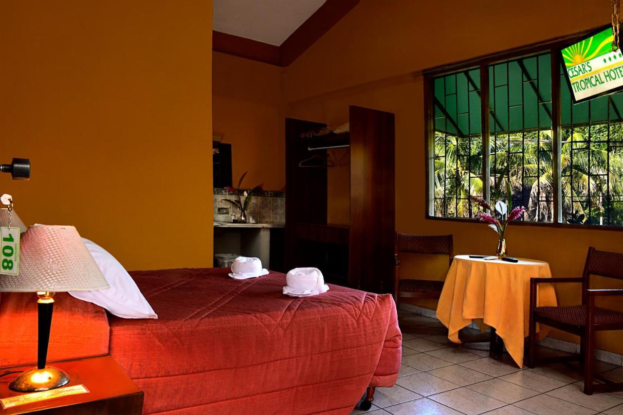 Cesar's Tropical Lodge *