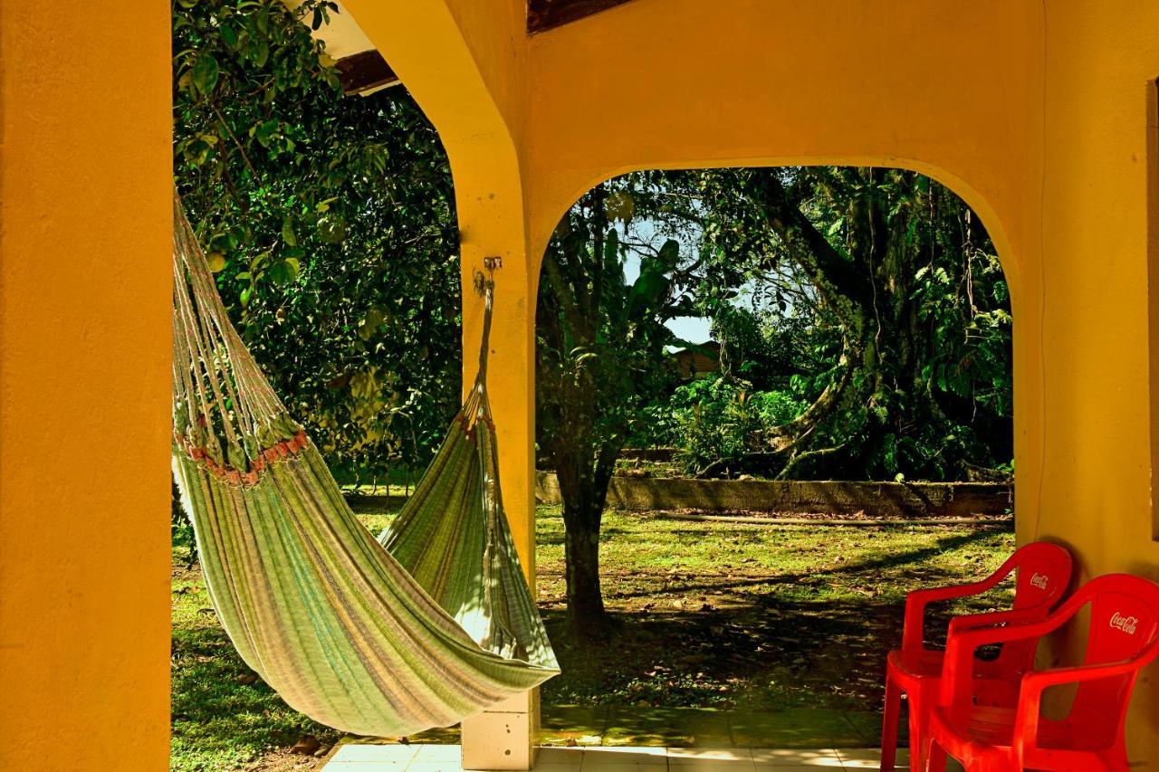 Lodge Cesar's Tropical