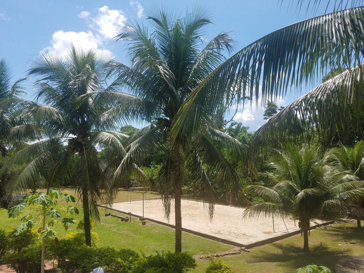 Cesar's Tropical *